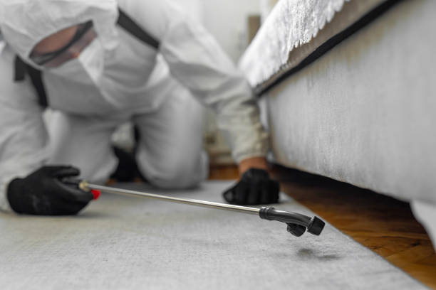 Professional Mosquito Control technician working in Dixon, CA