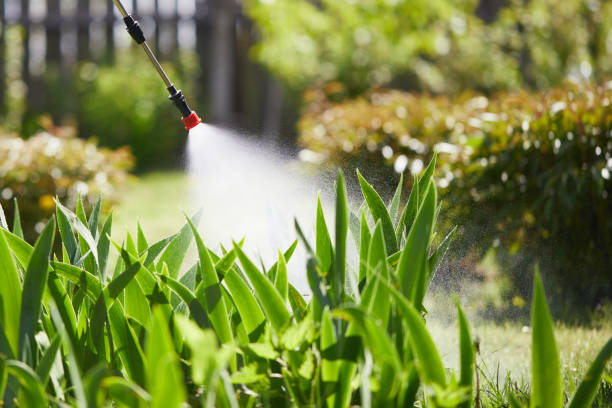 24/7 Emergency Mosquito Control experts in Dixon, CA